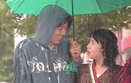 屋塔房小猫免费观看,免费畅享温馨治愈之旅